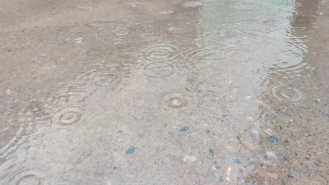 Raining on a trail Stock Footage 272287416