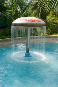 Raining Umbrella in Pond Stock Photos