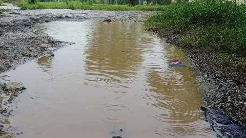 Raining vidio 库存影片 221489367