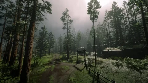 Raining Village in forest trees Stock Footage 266759983