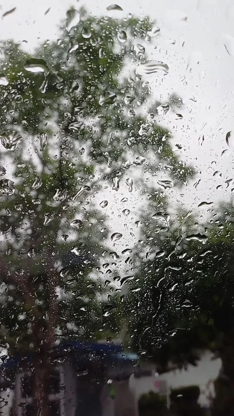 Raining1 Stock Footage 276245565