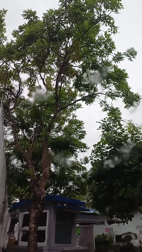 Raining2 Stock Footage 276248386