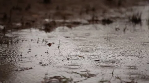 Raining/flooding - puddles of water Stock Footage 72111034