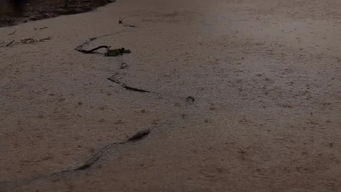 Raining/flooding - puddles of water Stock Footage 72111152