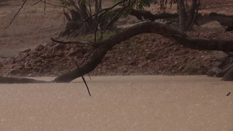 Raining/flooding - puddles of water Stock Footage 72111329
