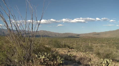 Rainless Clouds in Dry Sonoran Desert Air with Cacti Stock Footage 54714776