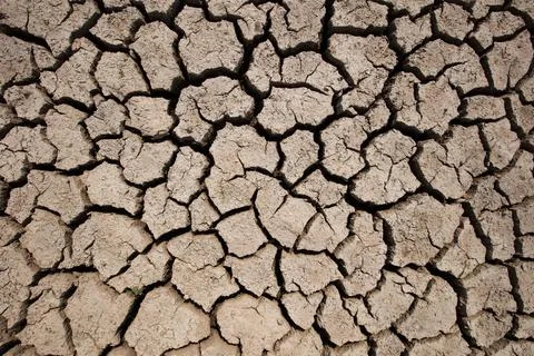 Rainless in countryside. Stock Photos