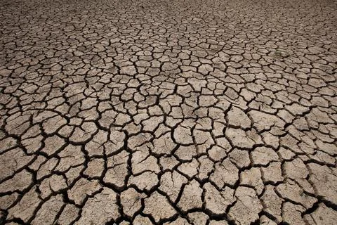 Rainless in countryside. Stock Photos