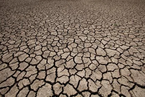 Rainless in countryside. Stock Photos