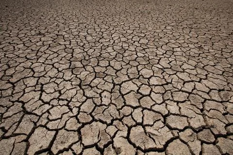 Rainless in countryside. Stock Photos