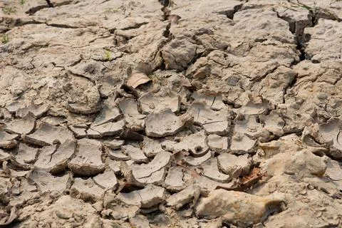 Rainless in countryside. Stock Photos