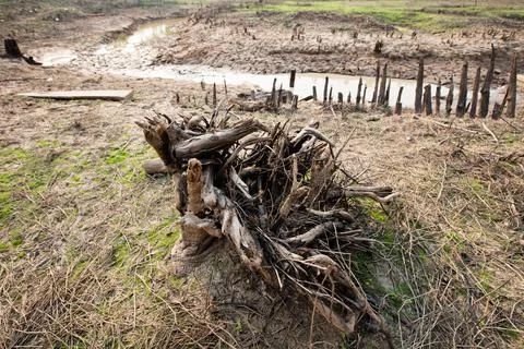 Rainless in countryside. Stock Photos