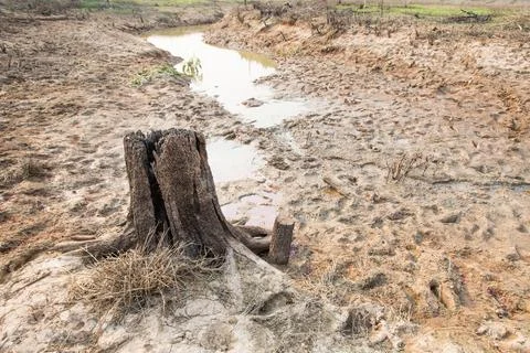 Rainless in countryside. Stock Photos