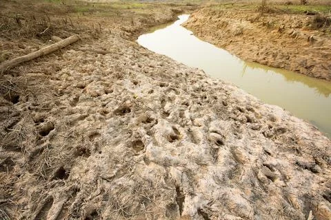 Rainless in countryside. Stock Photos