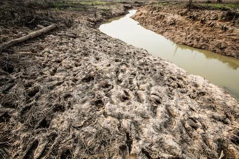Rainless in countryside. Stock Photos