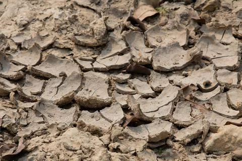 Rainless in countryside. Stock Photos