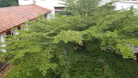 Rainning Courtyard Video stock 123478261