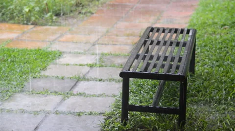 Rainning in the public park Stock Footage 66751574