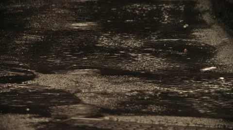 RainOnConcrete 23.976fps Stock Footage 21330696