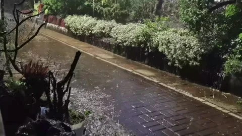 Rains at night Stock Footage 303472810