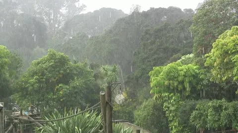 Rainstorm 50 Stock Footage 12428647