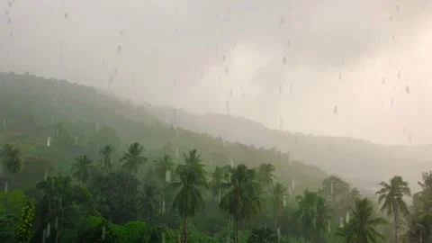 Rainstorm in Amazonian Rainforest, Brazil Stock Footage 239187784
