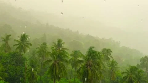 Rainstorm in Amazonian Rainforest, Brazil Stock Footage 239187800