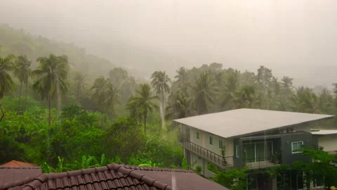Rainstorm in Amazonian Rainforest, Brazil Stock Footage 239187910