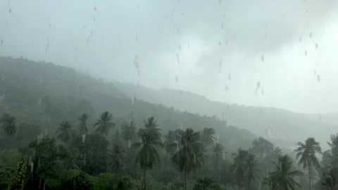 Rainstorm in Amazonian Rainforest, Brazil 動画素材 240605902