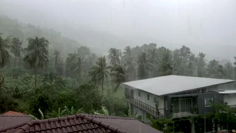 Rainstorm in Amazonian Rainforest, Brazil Stock Footage 241007512