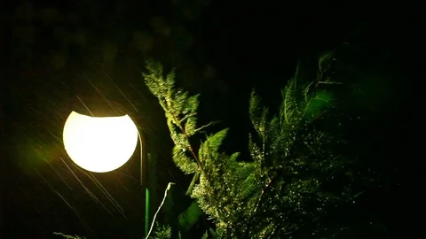 Rainstorm and strong wind in the night Stock Footage 82196360