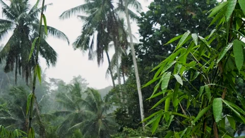 Rainstorm Bali 3 Video stock 242090358