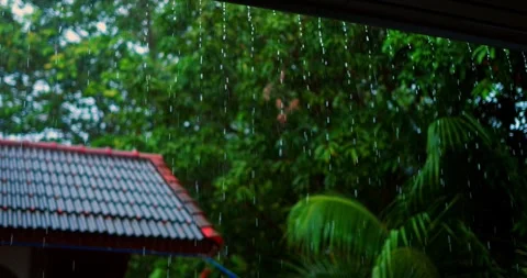 Rainstorm floods over rooftops, unceasing showers cascade across leaves and Stock Footage 321564260