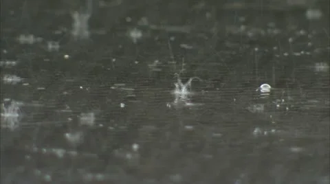 RAIN&amp;THUNDER 動画素材 11528185