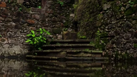 Rainwater Collected Inside Vasai Fort Ruins Stock Footage 342623808