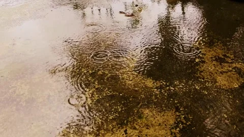 Rainwater collects in the cement layer Stock Footage 273992518