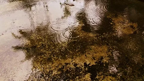 Rainwater collects in the cement layer. Stock Footage 273992541