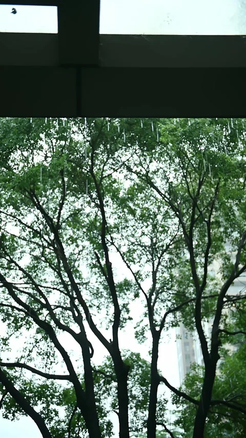 Rainwater dripping from the eaves in the rain at vertical composition Stock Footage 288326535