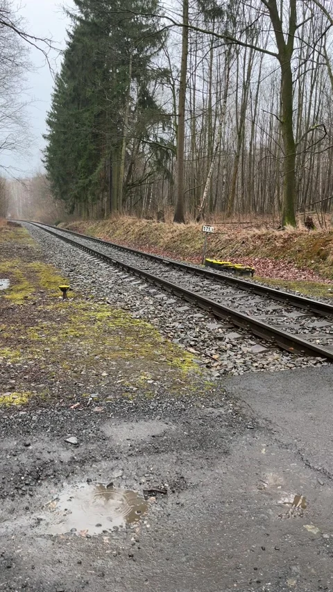 Rainwater drops falling on puddle near railway Stock Footage 305115847