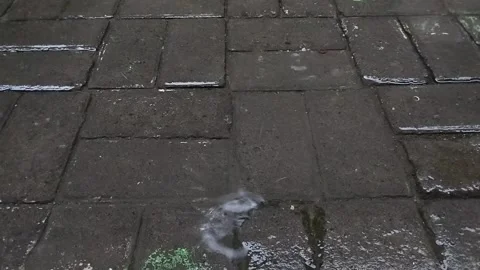 Rainwater falling on the paving blocks in the afternoon Stock Footage 285590140