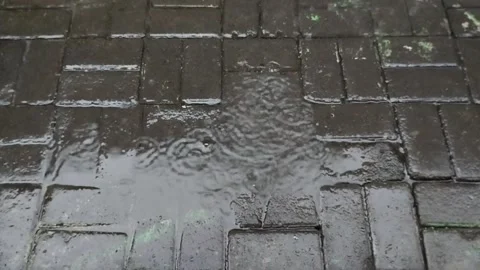 Rainwater falling on the paving blocks in the afternoon 库存影片 285590179