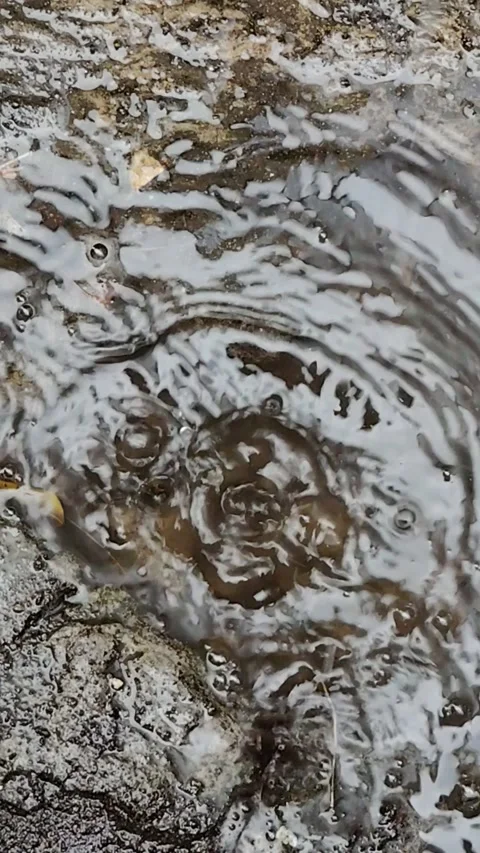 Rainwater falling into puddles Stock Footage 286823374