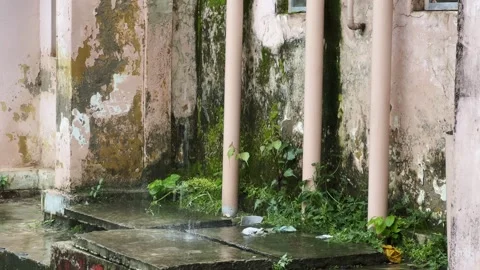 Rainwater Falling on Weathered Building With Moss Covered Walls and Pipes Stock Footage 342773539