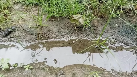 Rainwater That Falls Into A Small Ditch Stock Footage 300258009