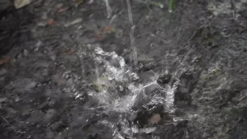 Rainwater falls on the surface of a puddle Stock Footage 237873737