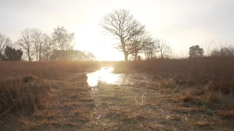 Rainwater on field. Video stock 268898350