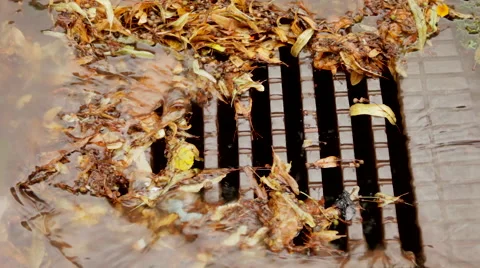 Rainwater flooding the streets Stock Footage 41450542