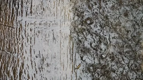 Rainwater that floods Stock Footage 306949250