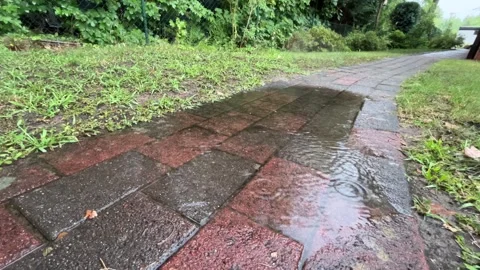 Rainwater Flowing Along Wet Garden Path After Heavy Summer Rain Stock Footage 340213917