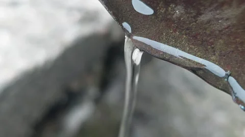 Rainwater flowing and dripping from a rusty metal gutter pipe close up Stock Footage 335395269